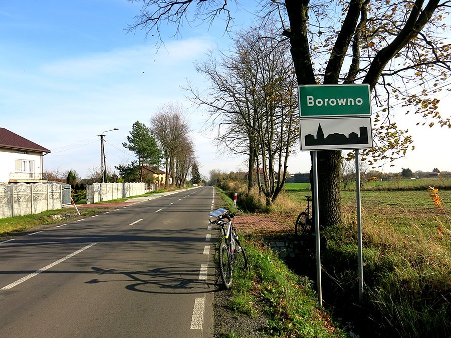 W Borownie