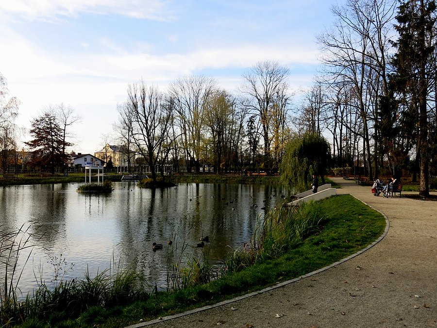 Nad stawem w Parku Świętojańskim - Radomsko