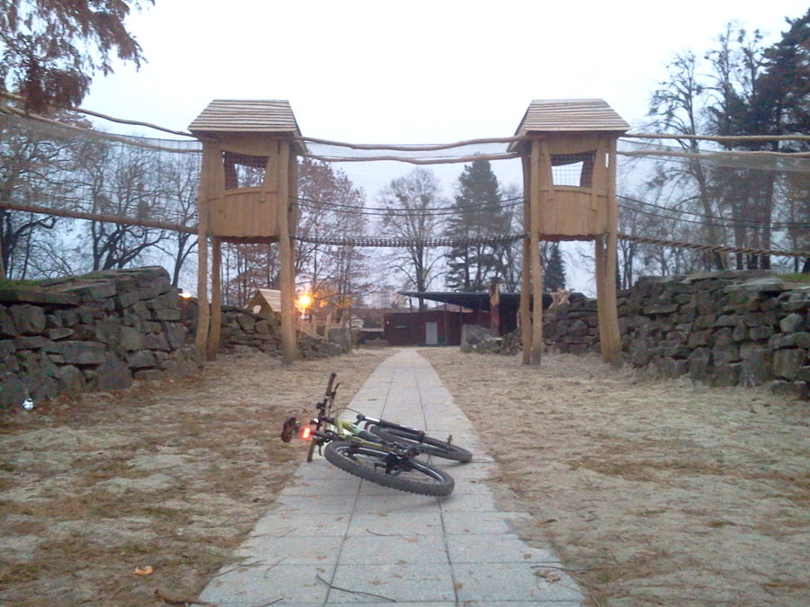 W Karwinie w parku