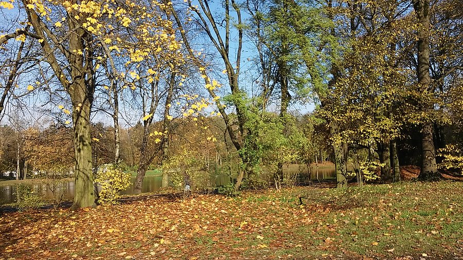 Park na Zdrowiu
