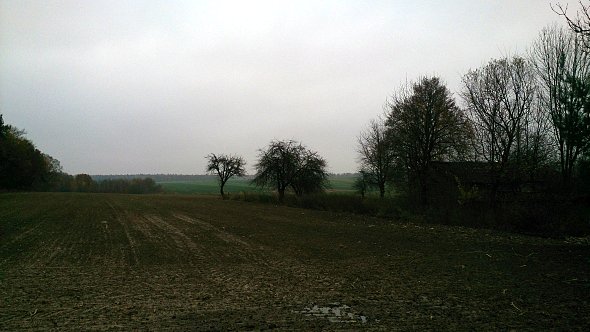 Pola w Tuszowie