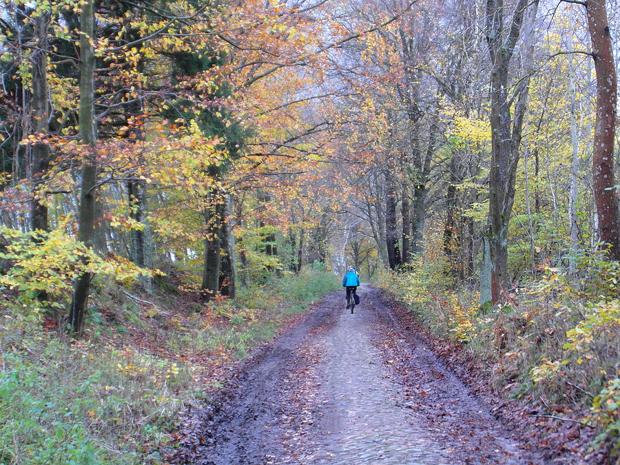 Drawski Park Krajobrazowy