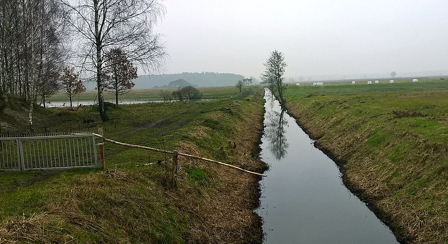 Zdjęcie z mostku, gdzie często się zatrzymuję - na skraju Sławoszewa