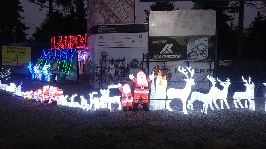 Już niedługo zacznie się liczenie choinek