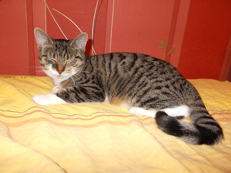 Luśka