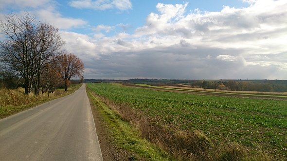 Prosta na Sobieską Wole