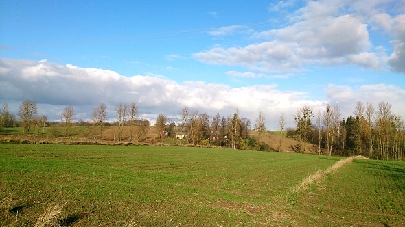 Pola w okolicach Giełczwi