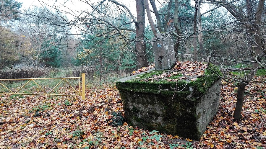 Wymyśl tytuł