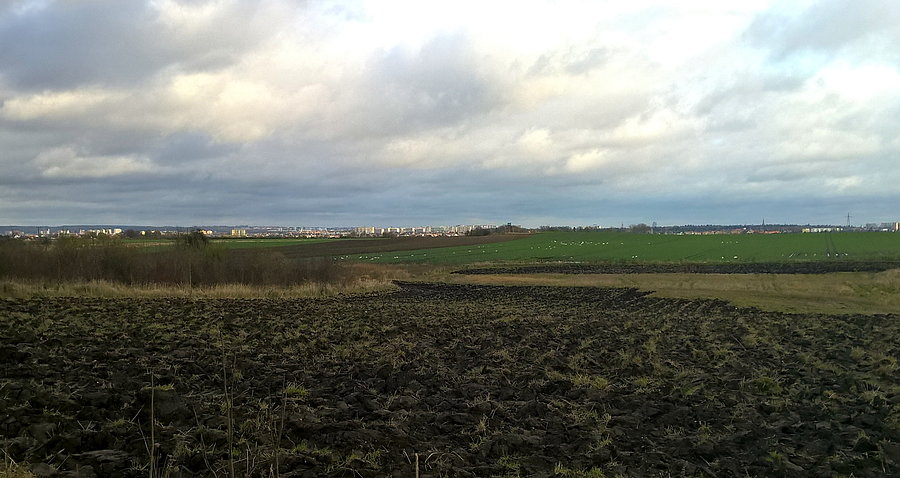 Widok na Szczecin spod Będargowa