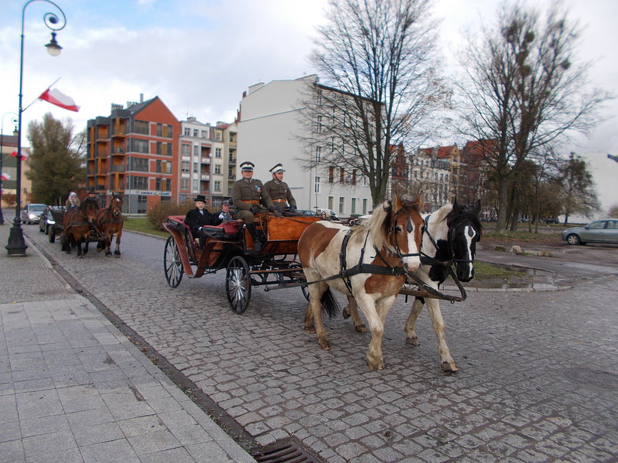 Mała parada konna