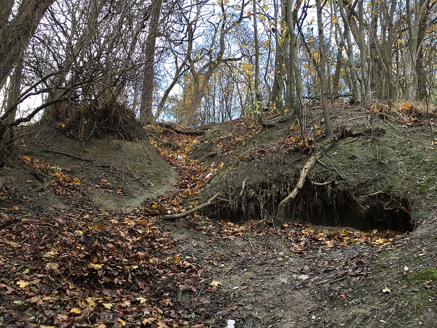 Strome wejście na Górę Żydowską od strony ul. Podgórnej