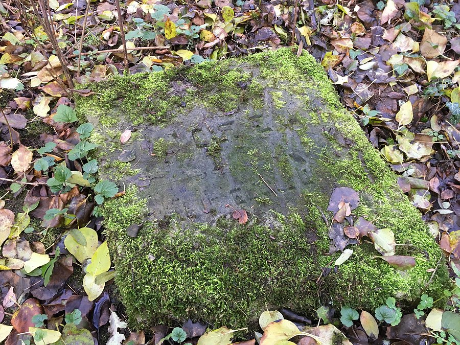 Kirkut żydowski / macewa
