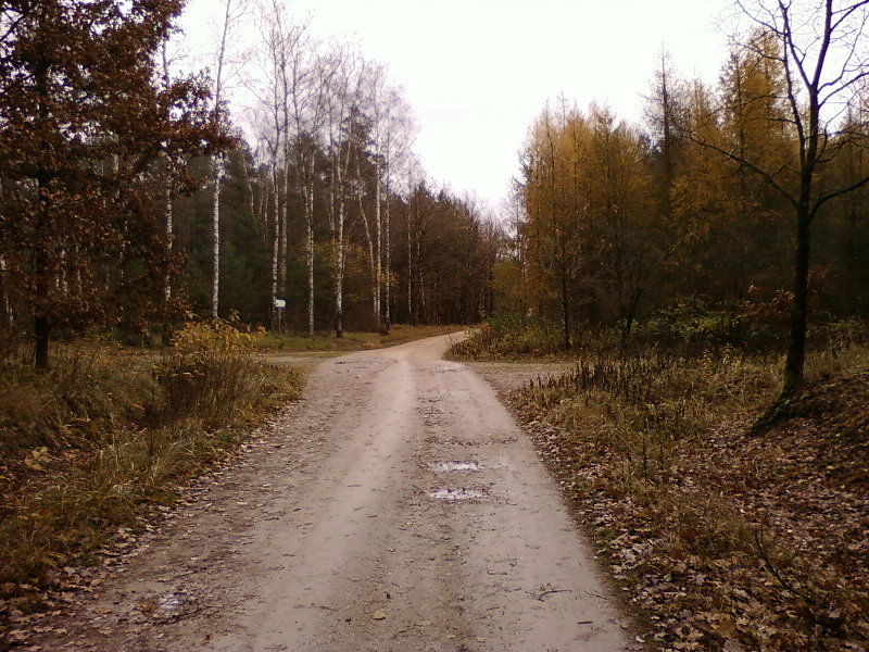 Szutrostrada