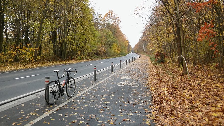 Jesień na gładkiej rowerówce w Strzeszynie. Z oczyszczaniem jej z liści jak zwykle słabo