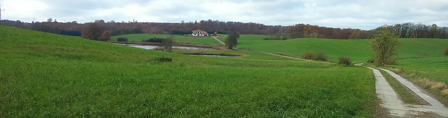 Kurnatowice. Ładnie ? :)