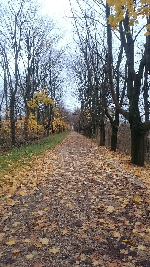 Dojazd do Modlińskiej