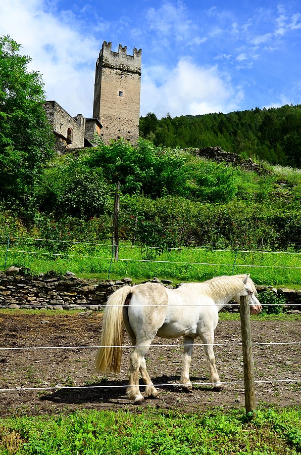 Na zjeździe z Mortirolo do Mazzo di Valtellina