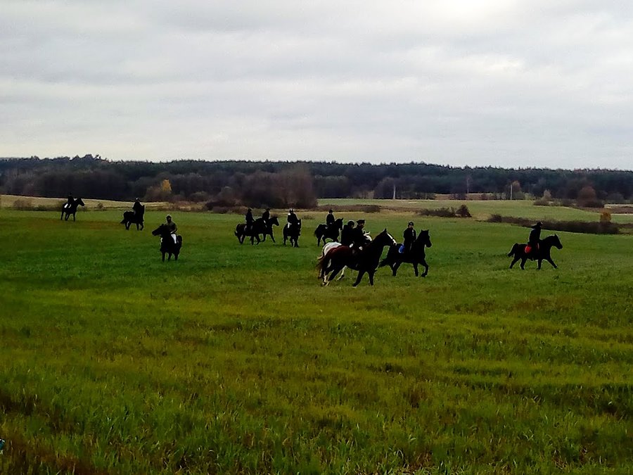 Pogoń za lisem- Boroszewo