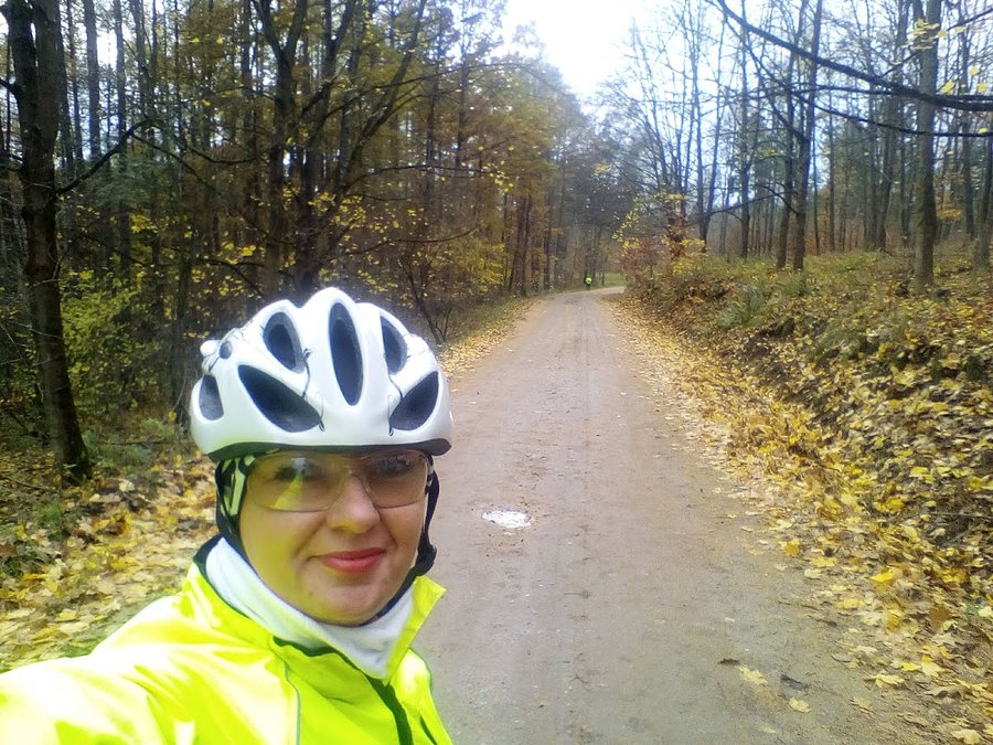 Leśne ścieżki