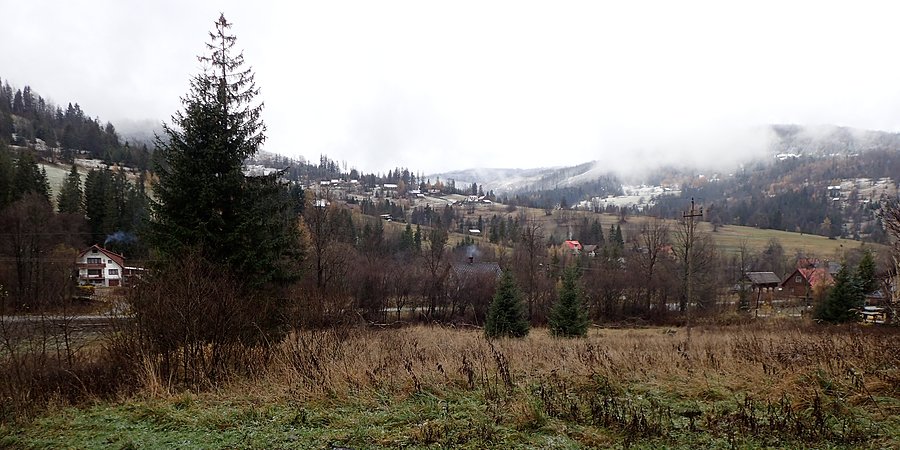Rycerka Kolonia