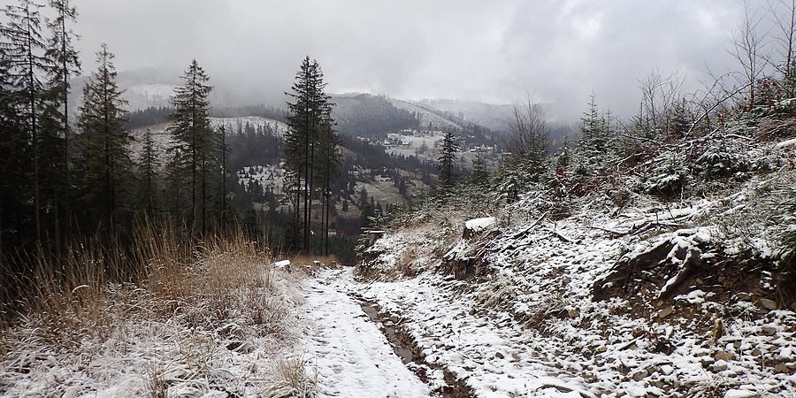 Widok na Rycerkę