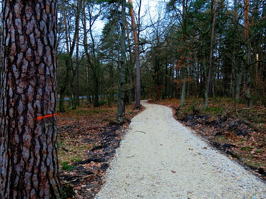 Odcinek DDR Spała - Teofilów w budowie