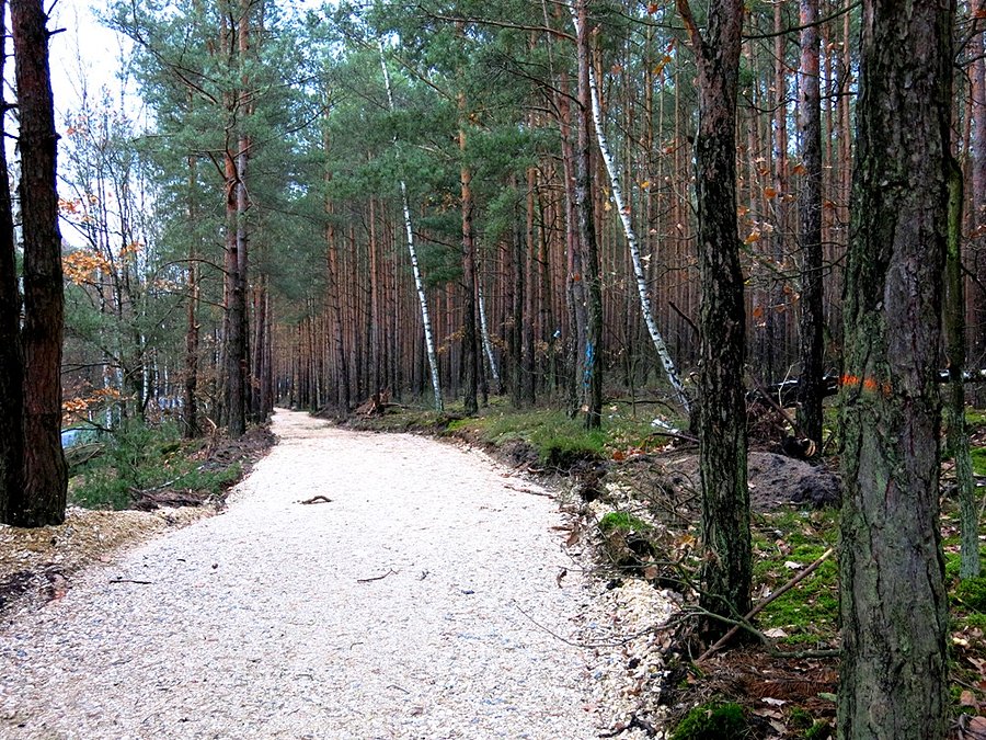Odcinek DDR Spała - Teofilów w budowie