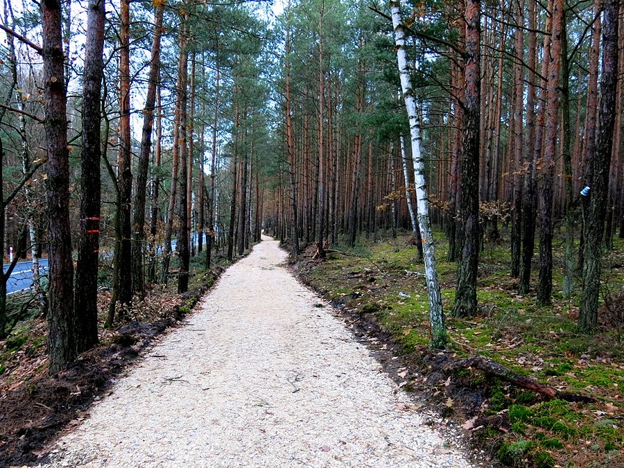 Odcinek DDR Spała - Teofilów w budowie