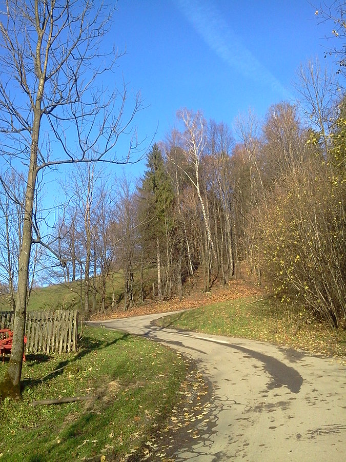 Podjazd na Budzin