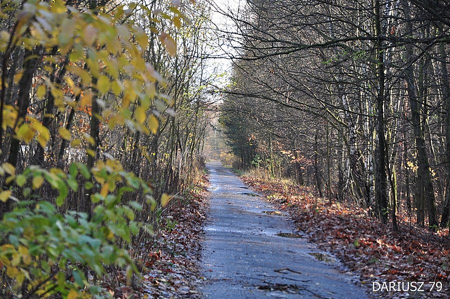 Jaworzno - Droga rowerowa