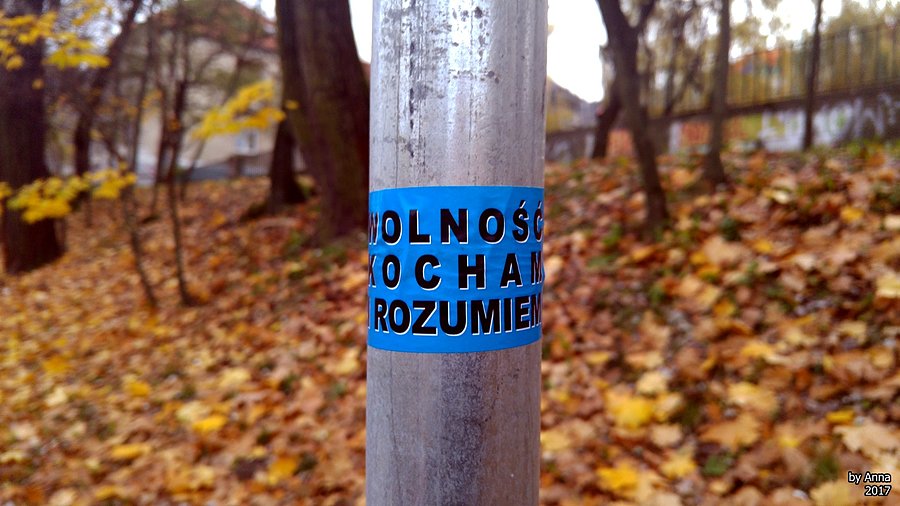 Wolność kocham i rozumiem