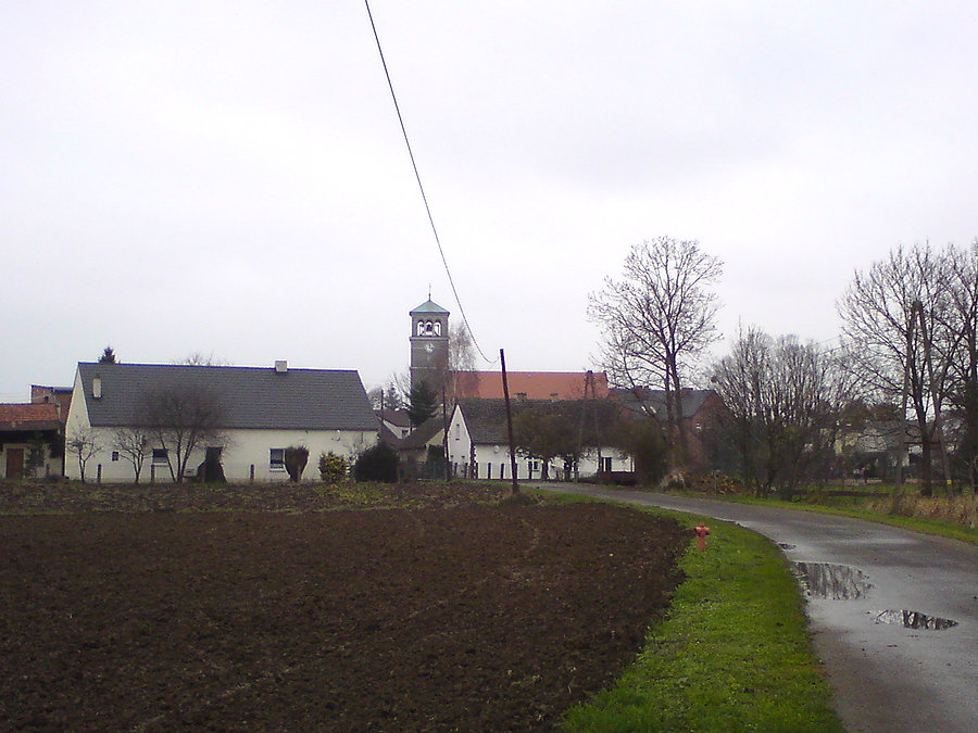 Siołkowicka "katedra"