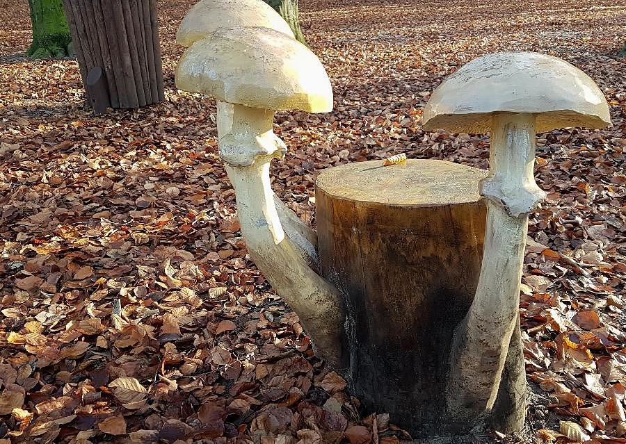 Sztuczne grzybki w Wielgowie