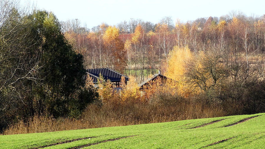 Jesiennie pod Smętowicami