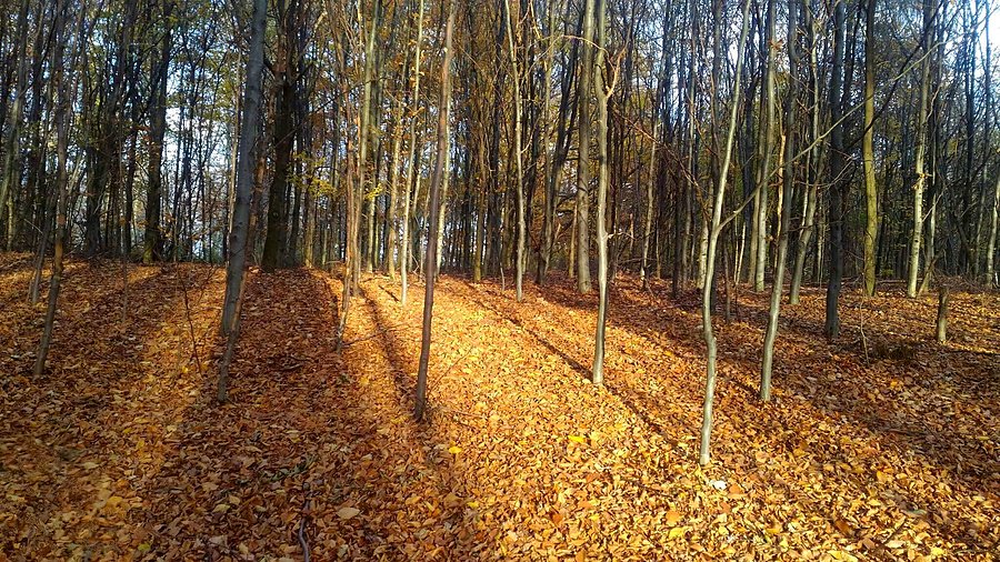 Nawet pokazało się słoneczko