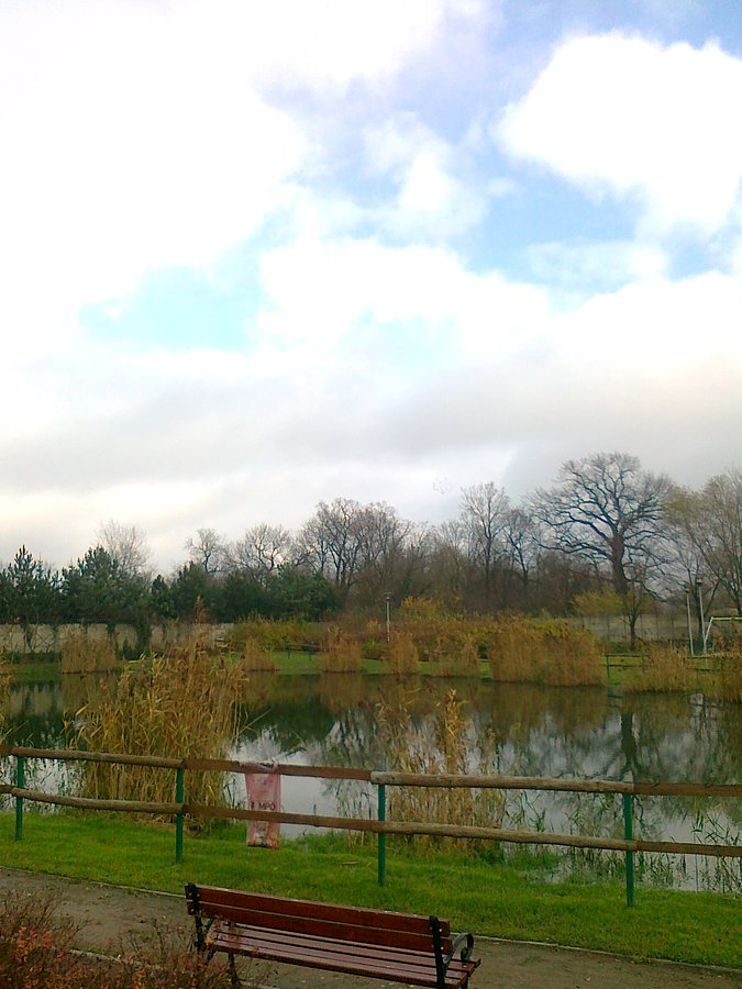 Staw w Borzęcinie