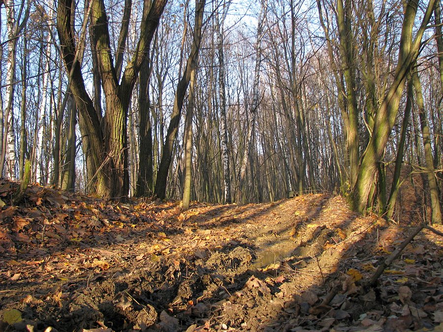 Miejscami błoto
