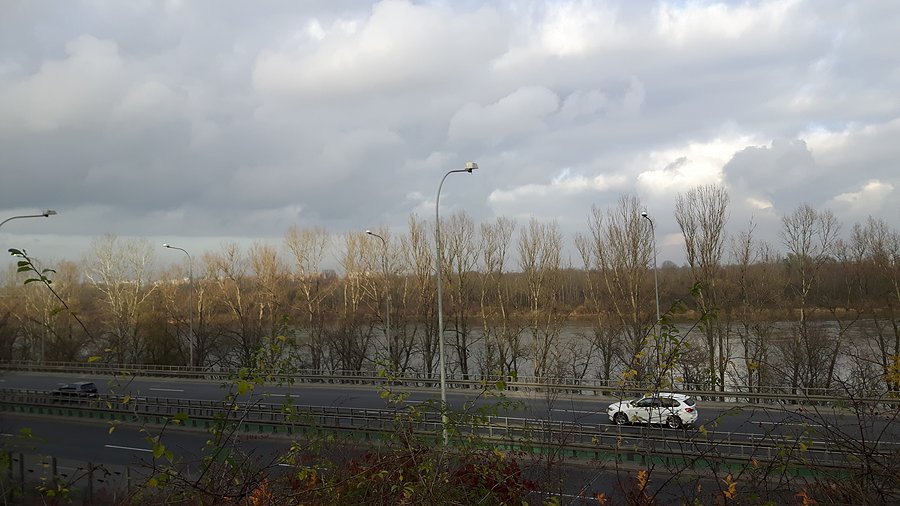 Wisła ze skarpy Warszawskiej w Lesie Bielańskim