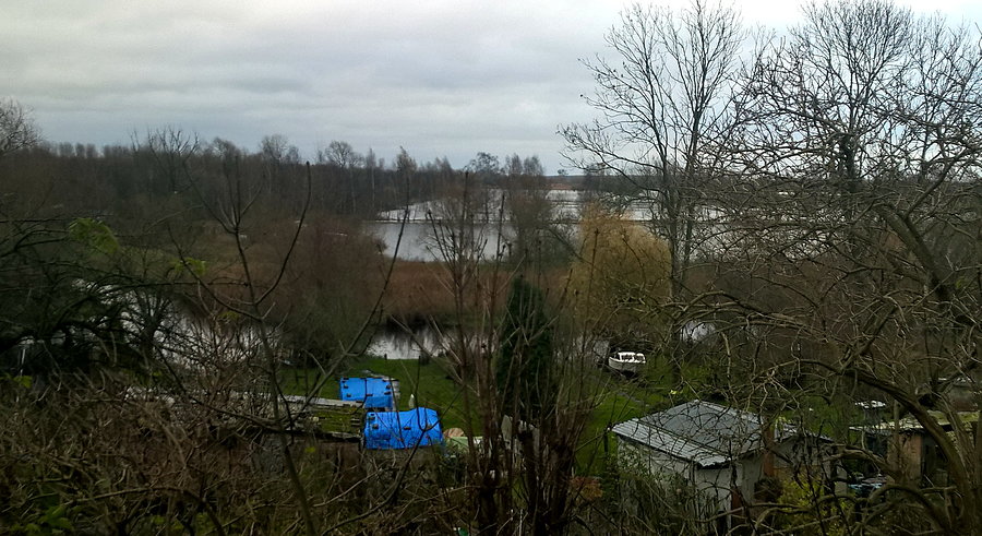 Odrzańskie rozlewiska pod Policami