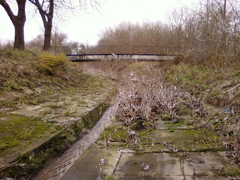 Chaszcze i śmieci