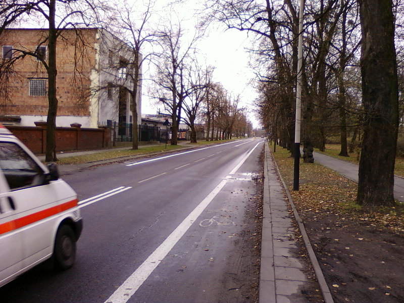 Pasy rowerowe na Parkowej