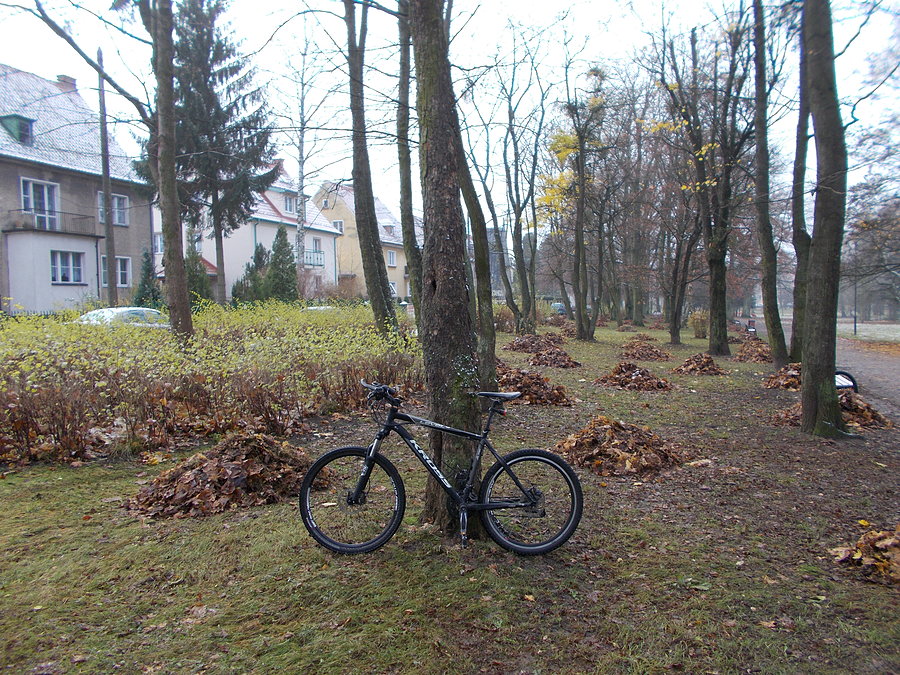 Park Kajki - kupki kulsona