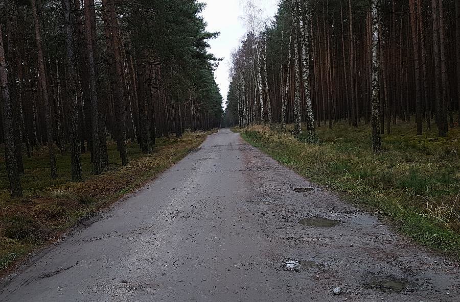 Dojazd pożarowy 40 z Wielgowa do Sowna
