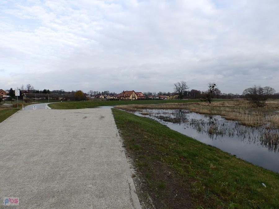 Rozlewisko Widawy w Wilczycach