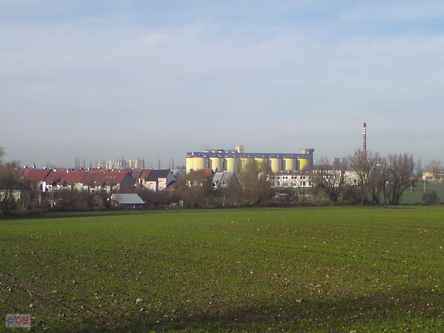 Brzeg z Pawłowa
