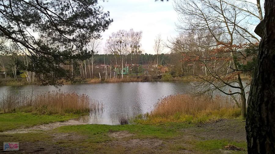 Jezioro w Bartoszewie 23 listopada 17 r.