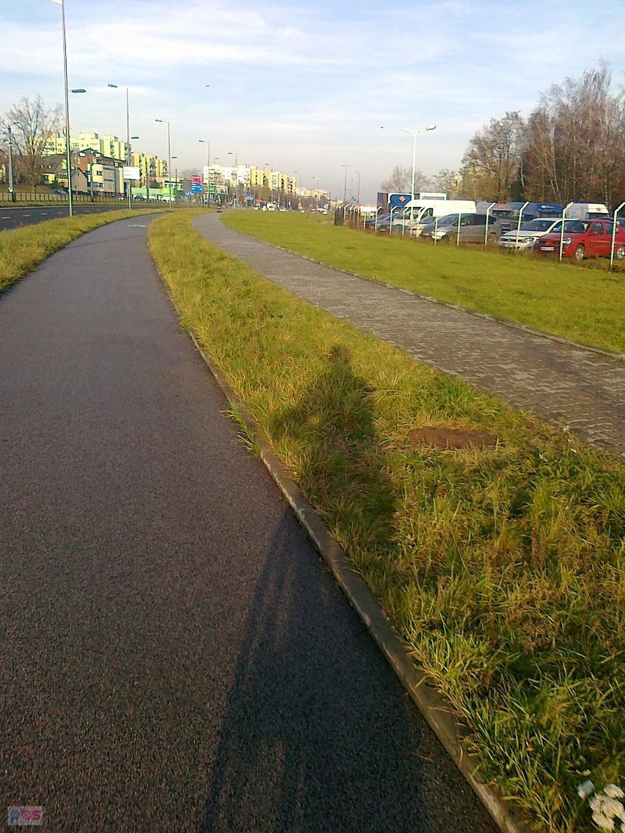 Pojawił się mój słoneczny towarzysz