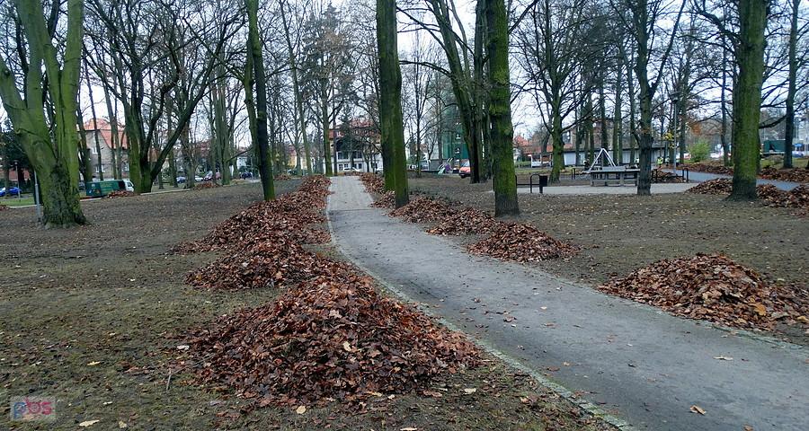 Późna jesień w parku im. Łyczywka.