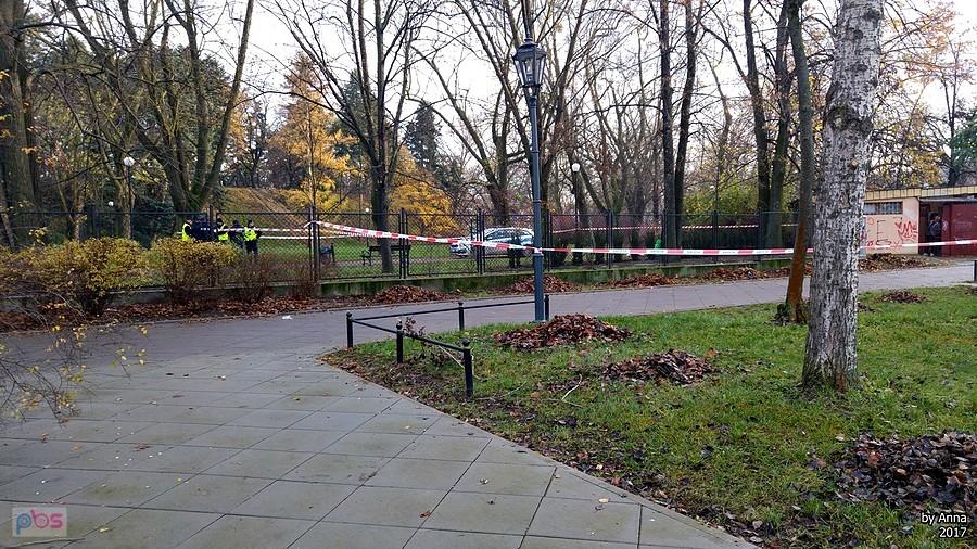 Taśma policyjna w parku