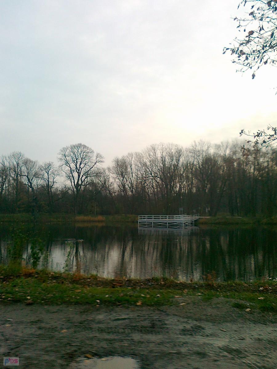 Obowiązkowy staw